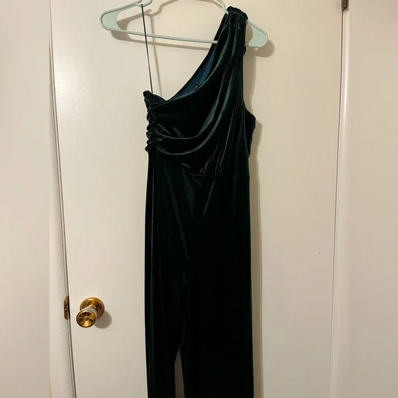 Express Pants Jumpsuits Express Emerald Green Velvet